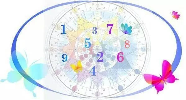 numerologisch consult