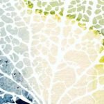 uit coachingstraject met tafelopstellingen